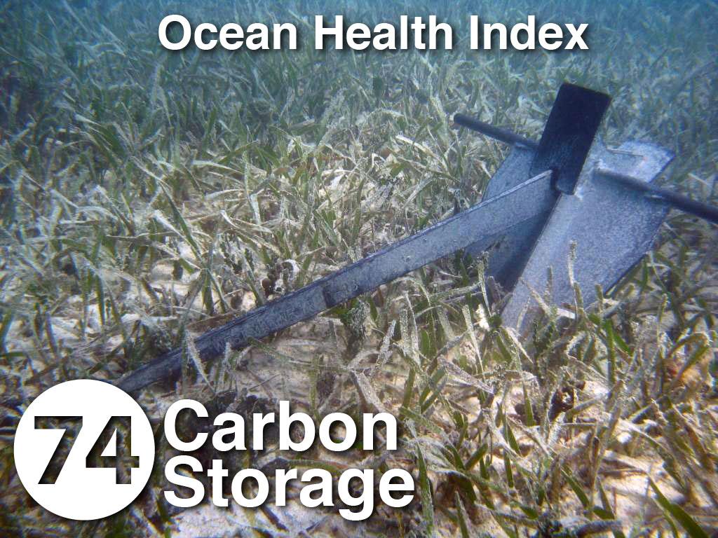 Anchors and moorings placed in seagrass beds can cause lasting damage. Mooring chains that sweep the bottom as the boat swings around are particularly destructive and have created ‘halos’ of bare sand in many of Bermuda’s bays. © Government of Bermuda